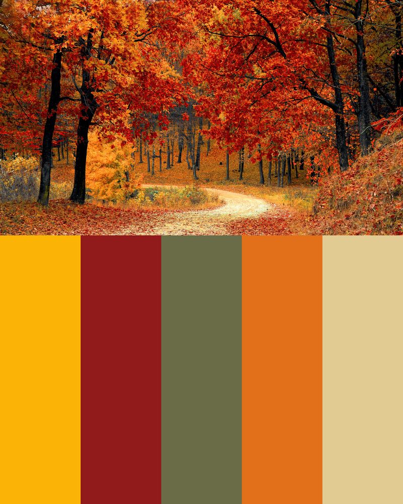 Personal Color: nhóm màu mùa Thu